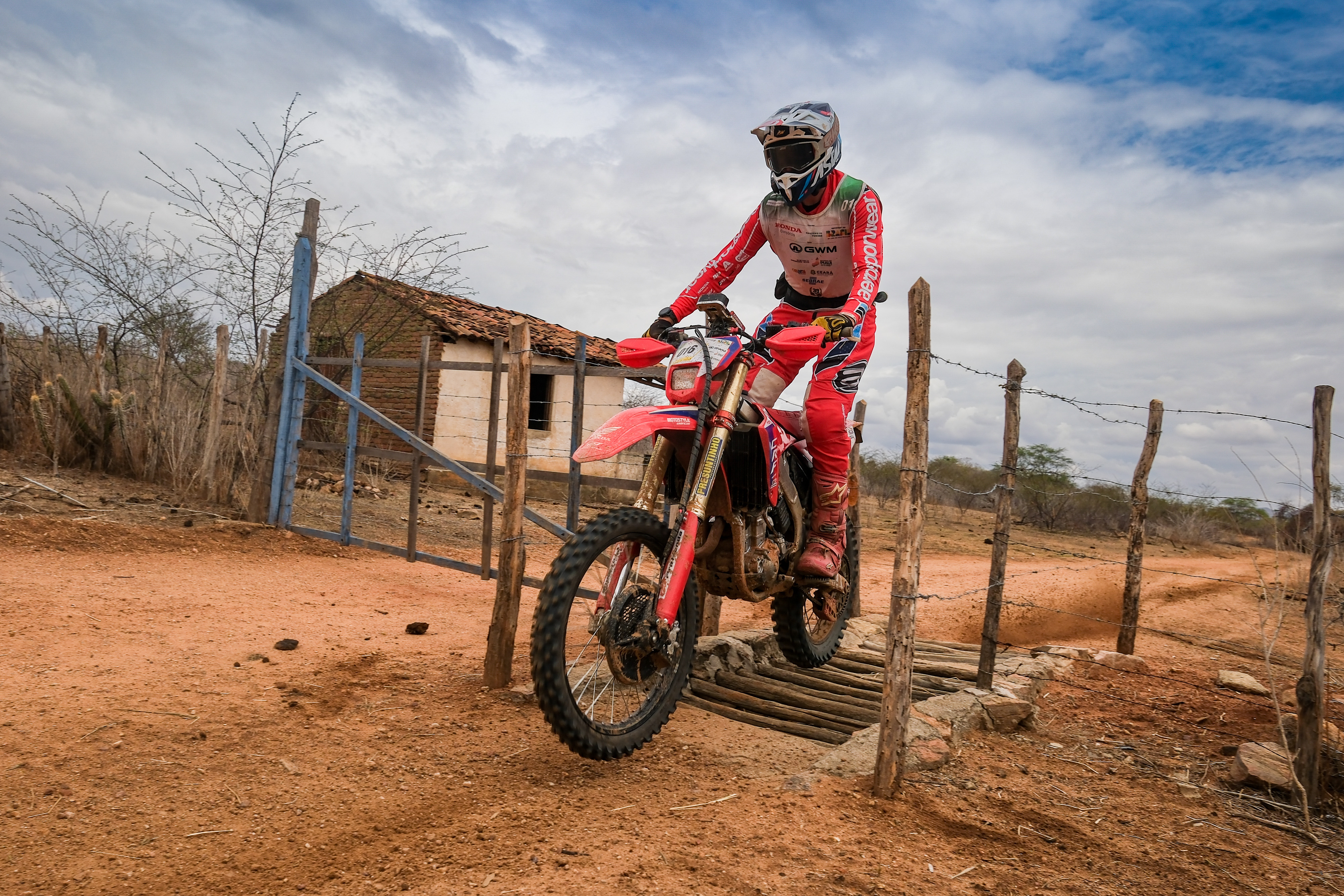 imagem meramente ilustrativa