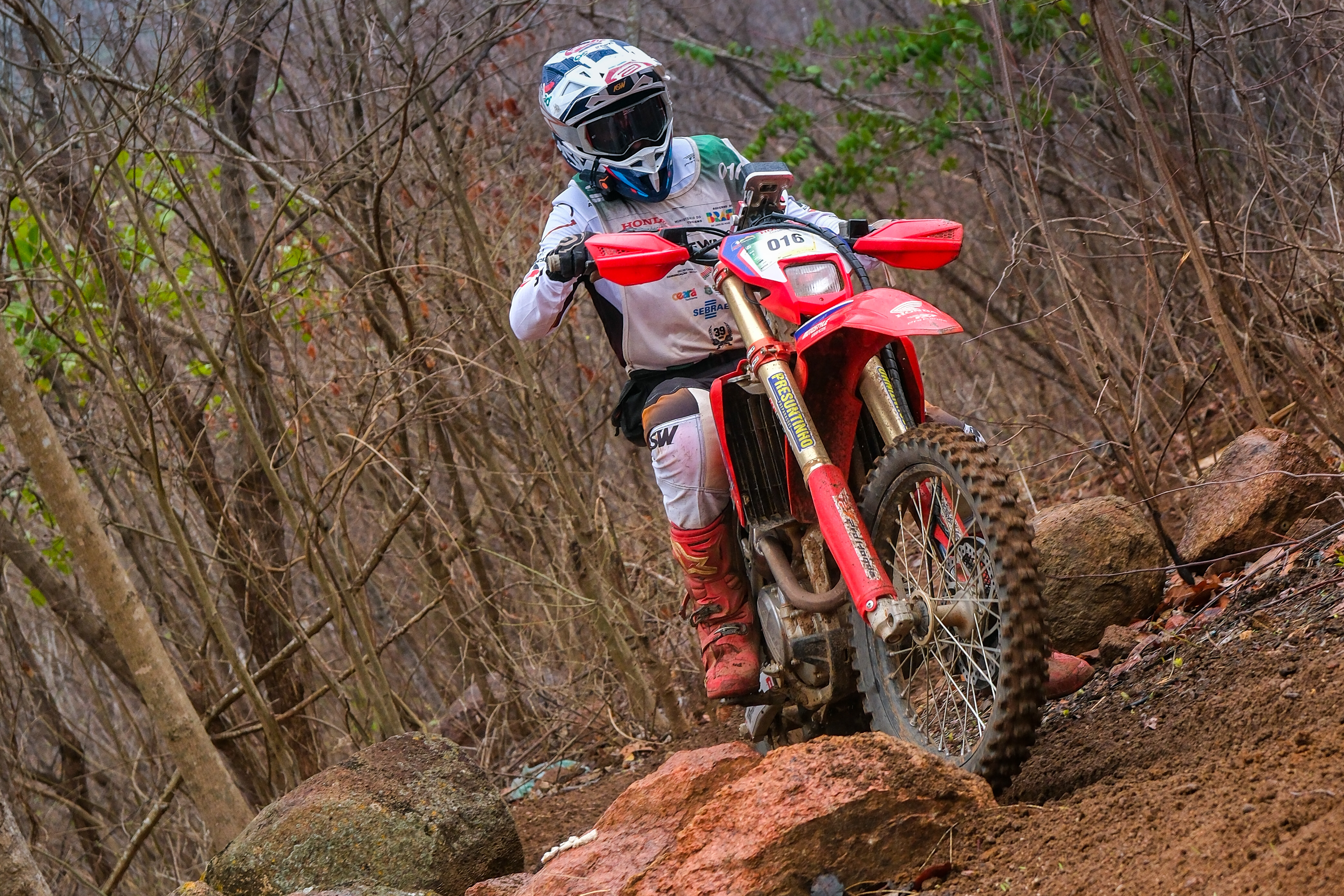 imagem meramente ilustrativa