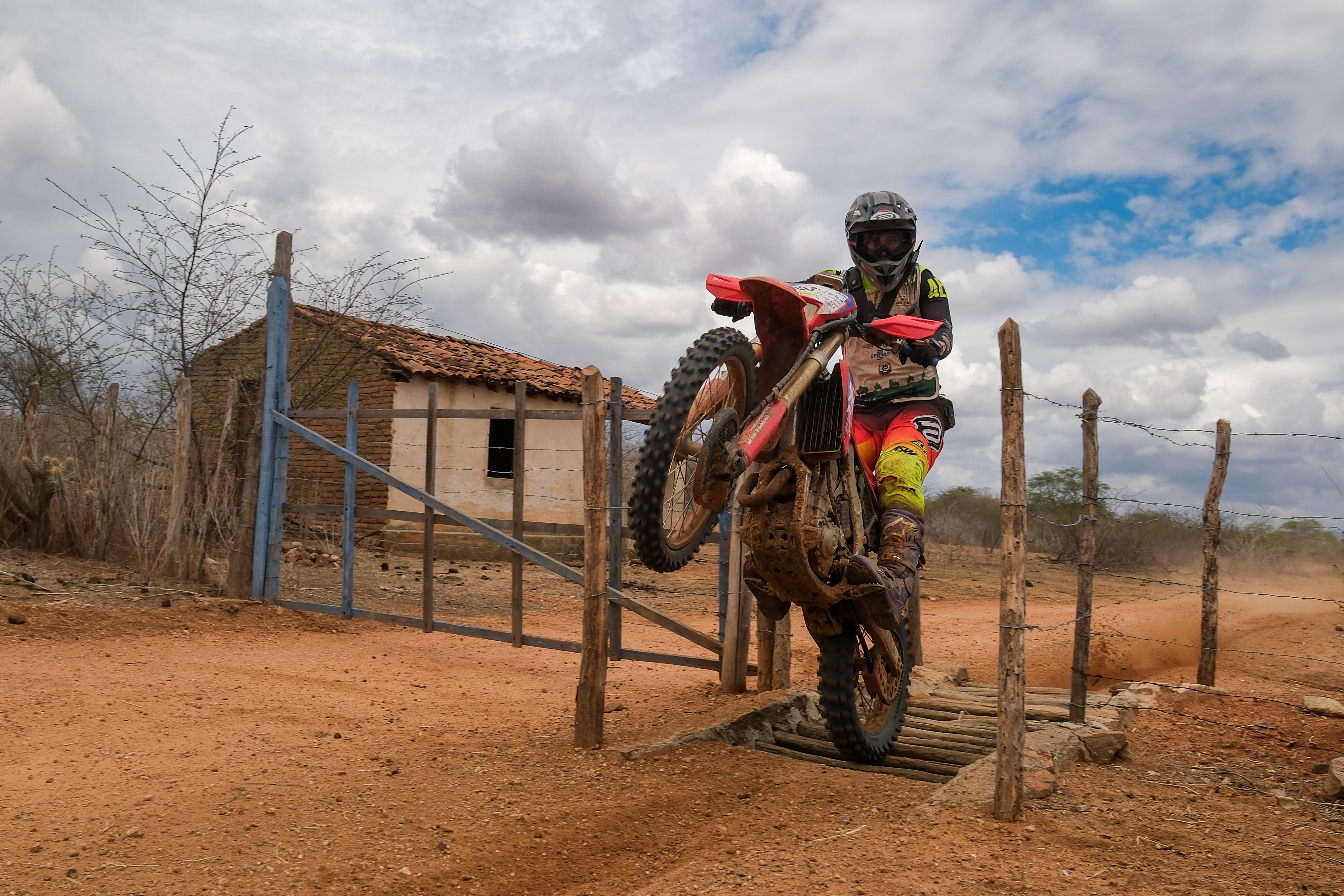 imagem meramente ilustrativa